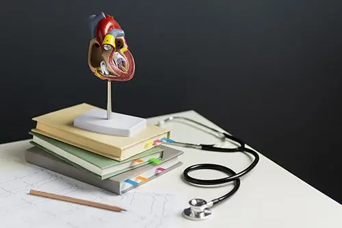 Iconic tools of the medical trade, books, test results, models, and of course a stethoscope