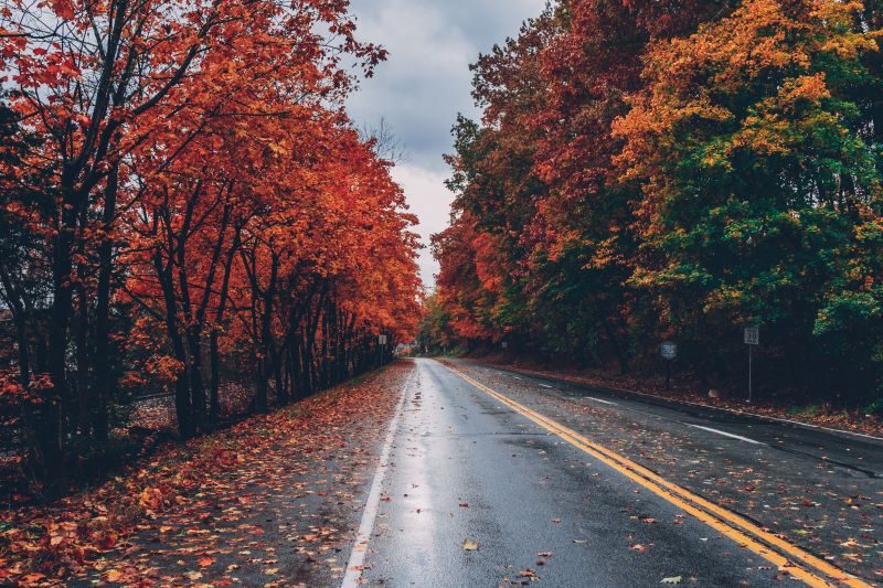 Autumn 2025