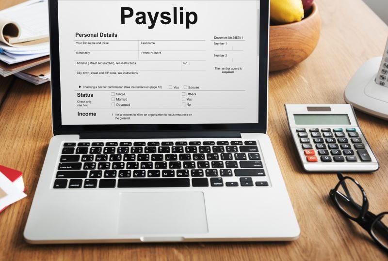 Healthcare Admin payslip